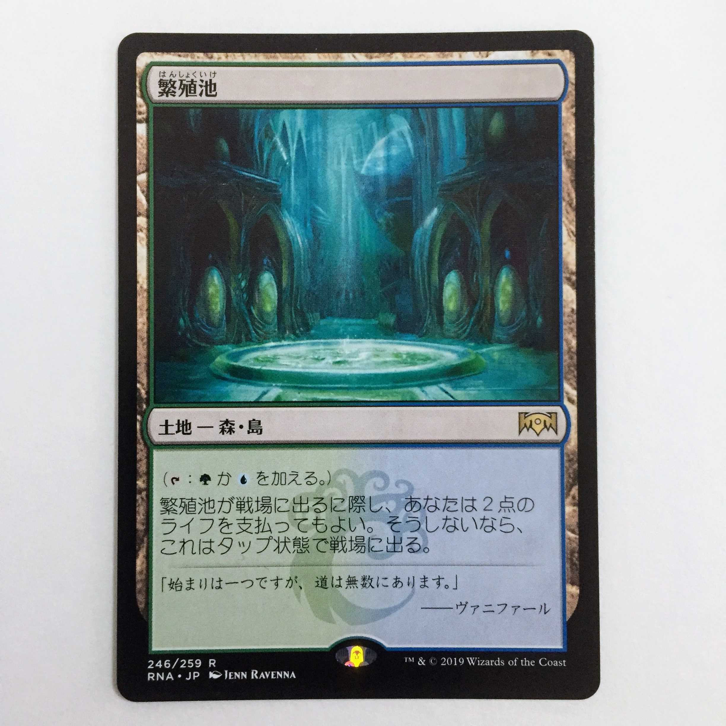 【繁殖池】日本語版 1枚, ラヴニカの献身 / MTG