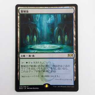 【繁殖池】日本語版 1枚, ラヴニカの献身 / MTG