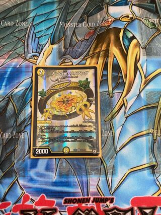 Lilliang, the light of riddles