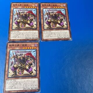 戦華の暴-董穎 ノーマル