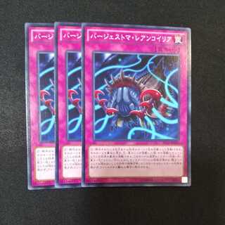 バージェストマ・レアンコイリア ノーマル