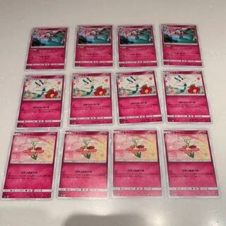 フラージェス その他12枚セット