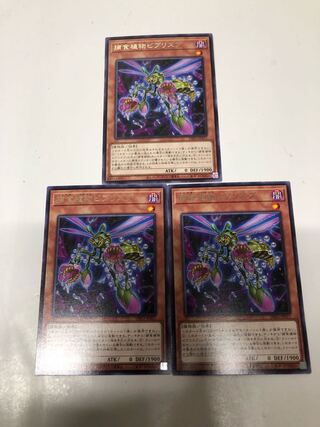 Prey Upon Plant Bibs Squirrel Set of 3