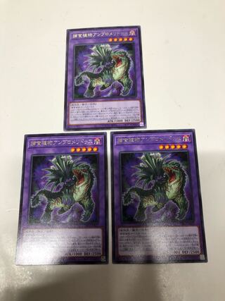 Prey Upon Plant Ambrosialidus Set of 3