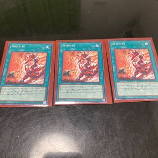 Branded Bond Normal 3 copies