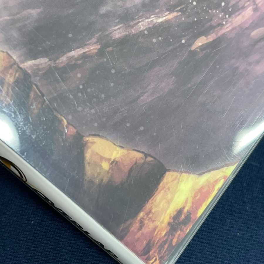 【未開封】リザードンEX 276/XY-P ポケモン アートコレクション/管理:▼MP0327