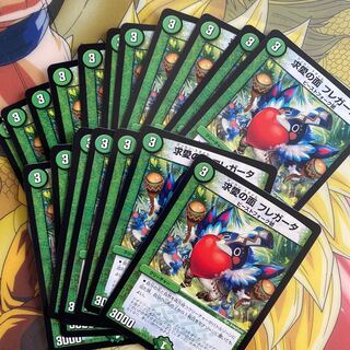 Fregata, the face of courtship