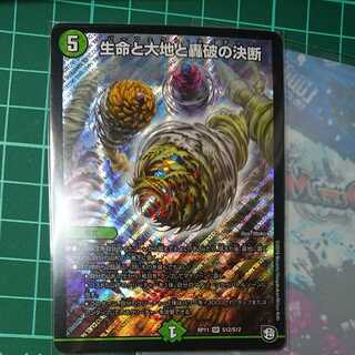 Life, Earth, and the Decision to Roar Back