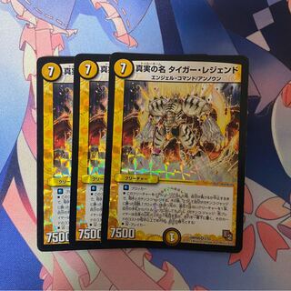 真実の名　タイガー・レジェンド