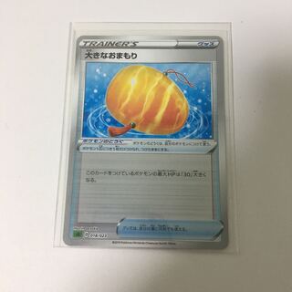 Miller Big Charm Pokemon Starter Set V Grass Large Charm