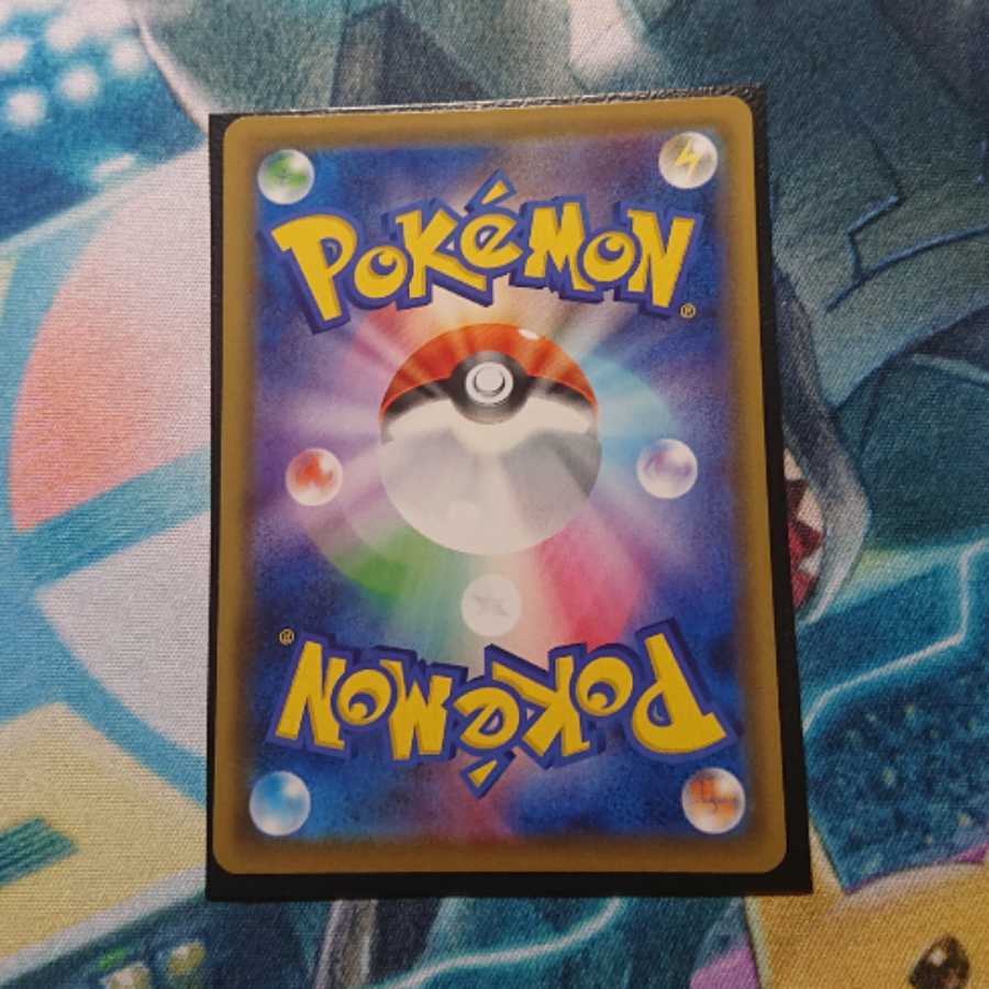 シールド マリィ HR