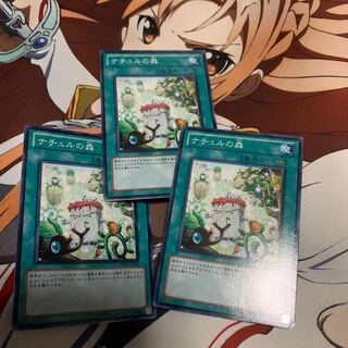 Naturia Forest Normal