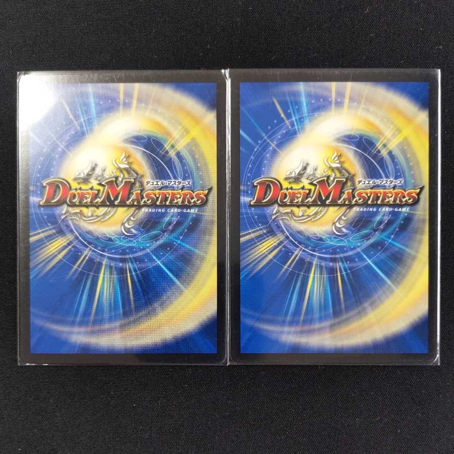 Shinryaku no Shizumari Shinren｜Justice Shaper 2pcs