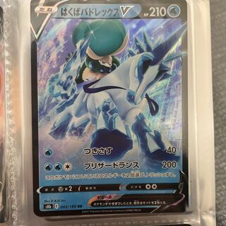 [Top of the Environment] Hakuba Budrex V