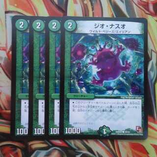 Gio Nasuo Set of Four