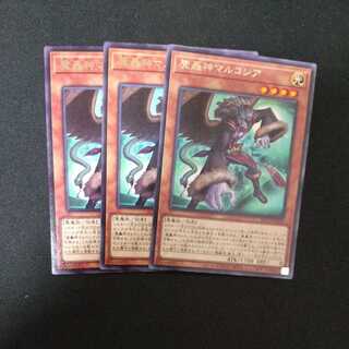 Fabled Marcosia Rare