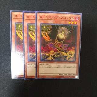 Lonefire Blossom Normal