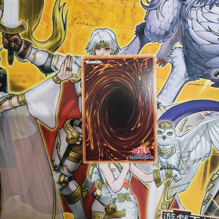 Chamber Dragonmaid Super Rare