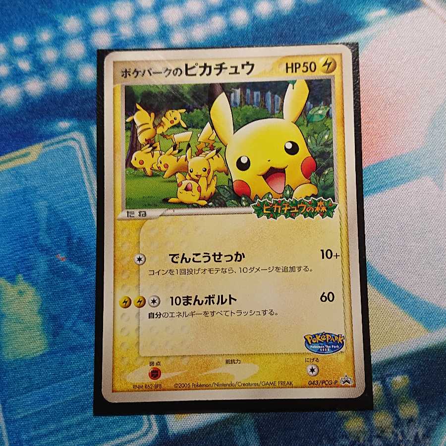 ポケパークのピカチュウ