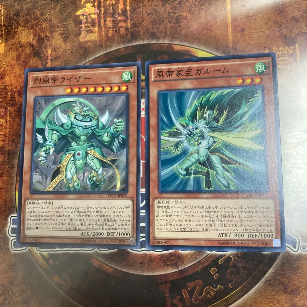 Yu-Gi-Oh *Raiza the Mega Monarch, Garum the Storm Vassal *.