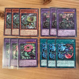 Prey Upon plant set, 12 sheets