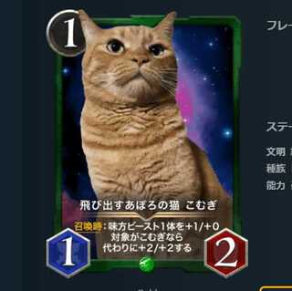 2枚セット 飛び出すあぽろの猫 こむぎ