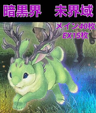 遊戯王　暗黒界　未界域　デッキ　