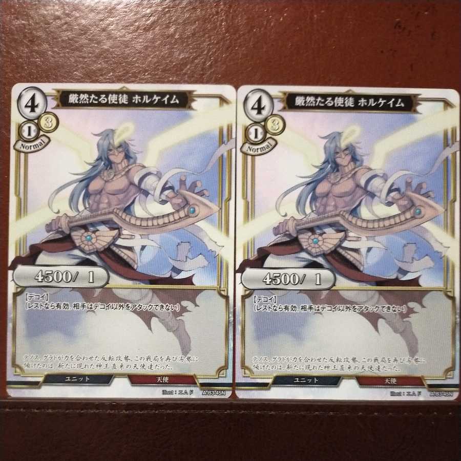 AG376 Set Discount Strictly Apostolic Holcayim