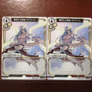 AG376 Set Discount Strictly Apostolic Holcayim