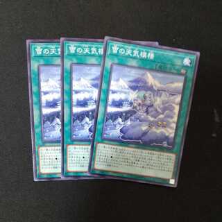 The Weather Snowy Canvas Normal