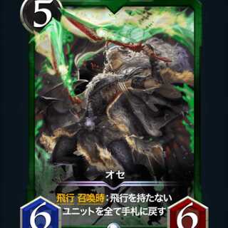 Japanese carpet shark