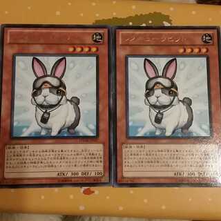 レスキューラビット