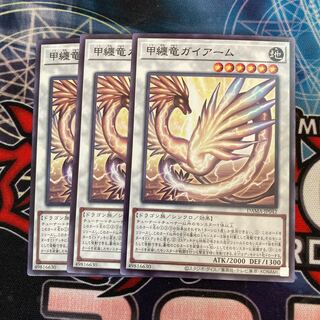 甲纏竜ガイアーム ノーマル　3枚