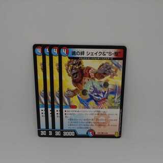 魂の絆 シェイク&“S-駆”