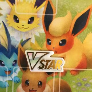 プレミアムVSTARマーカー