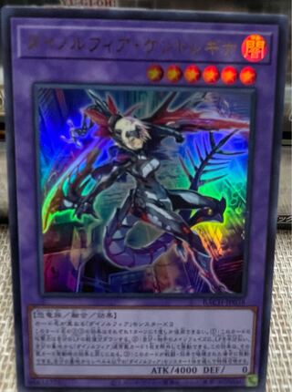 Dynorphia Kentregina Ultra Rare