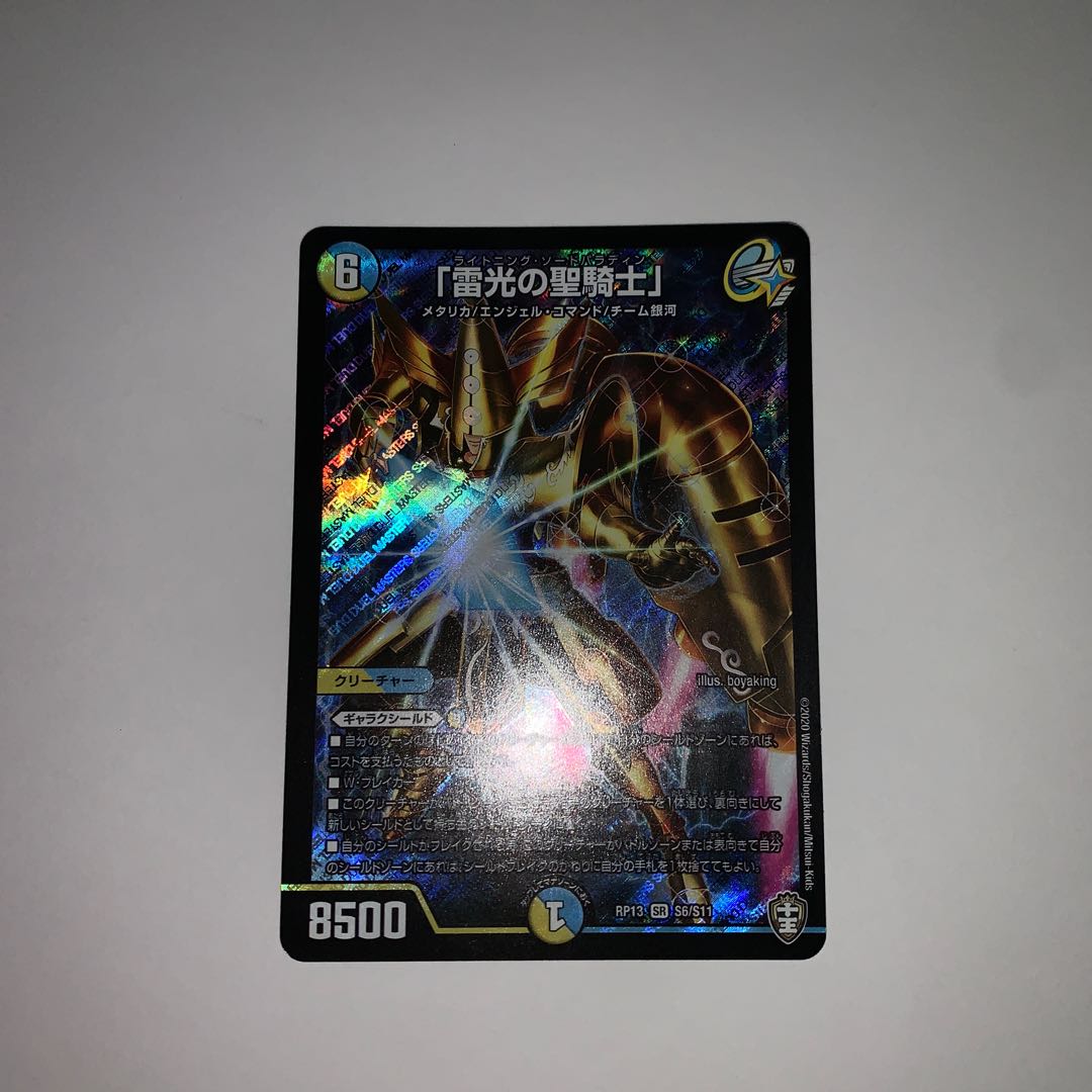 "Holy knight of lightning."