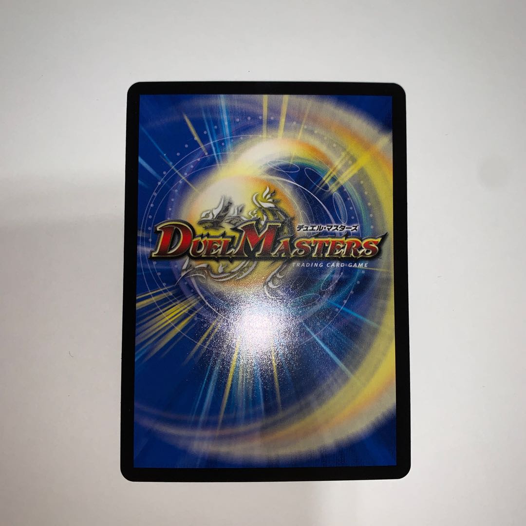 "Holy knight of lightning."