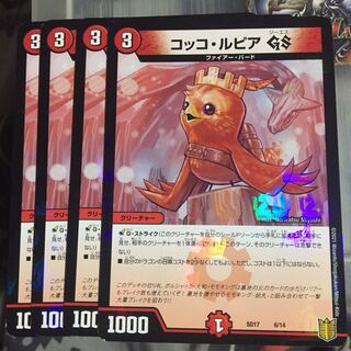 Set Discount Cocco LupiaGS Set of 4