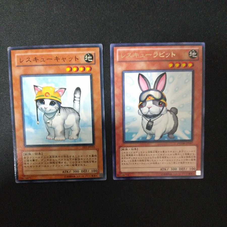 Rescue Cat Rabbit 1 each Emerging Emergency Rescute RescueR3 added