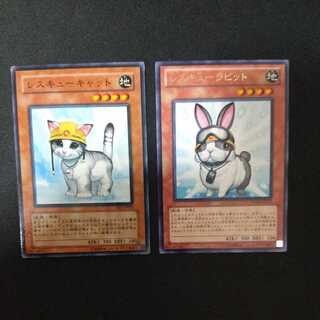 Rescue Cat Rabbit 1 each Emerging Emergency Rescute RescueR3 added