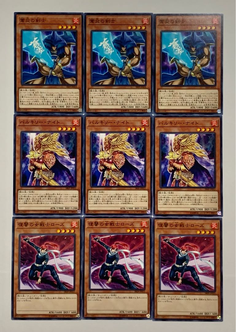 Blue Flame Swordsman/Valkyrian Knight/Rose, Warrior of Revenge set