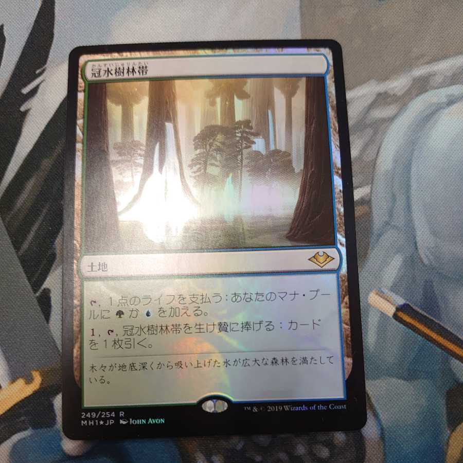 Waterlogged Grove Foil Japanese