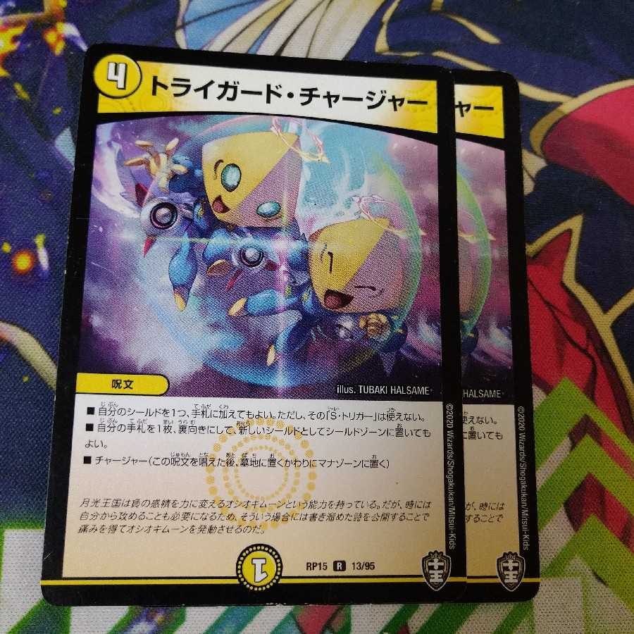 Triguard Charger 1098