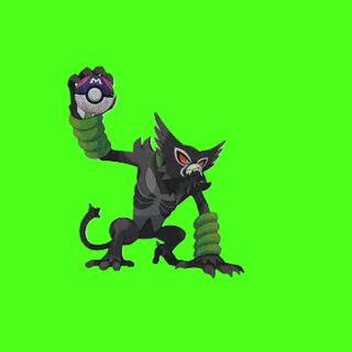 おれ様専用／10口 1枚