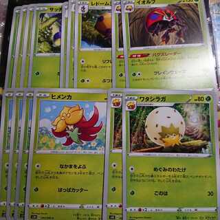 Pokémon Card Cushion Type Evolution Line Set