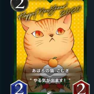 あぽろの猫 こむぎ