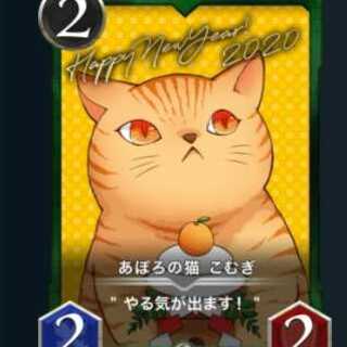 あぽろの猫 こむぎ