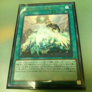 星遺物の守護竜 R SAST-JP062