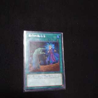 専用出品！墓穴の指名者 シク